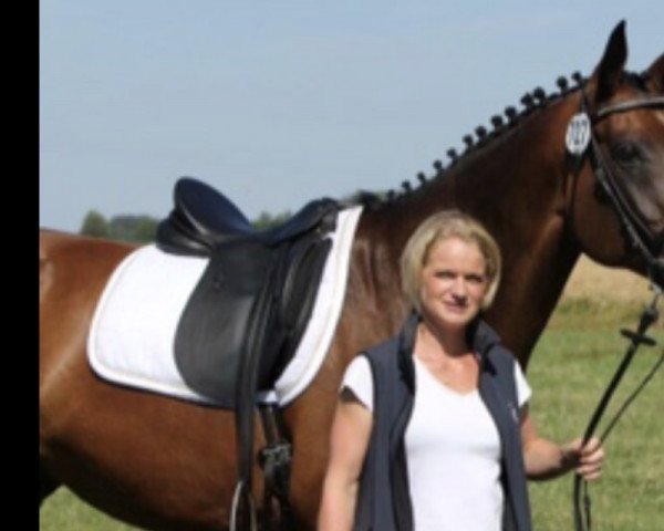 dressage horse Waikeira (Hanoverian, 2004, from Warkant)