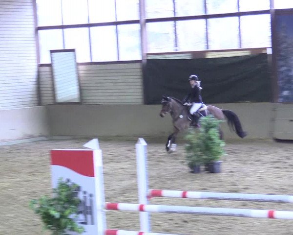 Reitturnier Kamen 2018