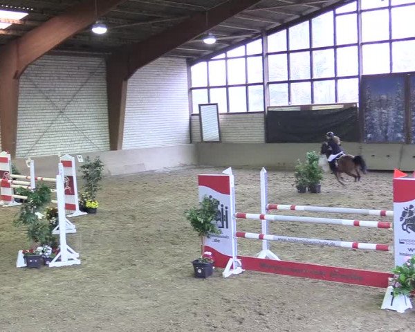 Reitturnier Kamen 2018