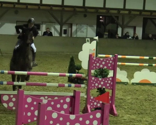 Reitturnier Kamen 2018