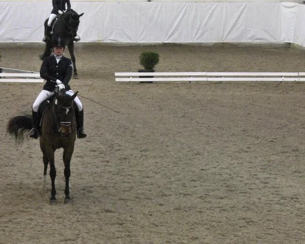 Reitturnier Viernheim 2018