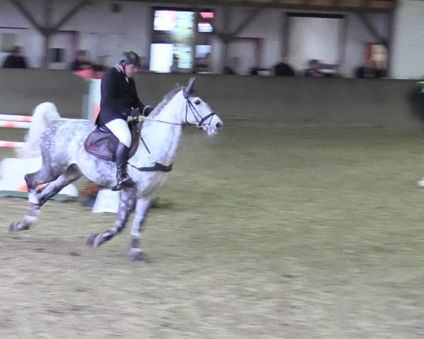 Reitturnier Kamen 2018