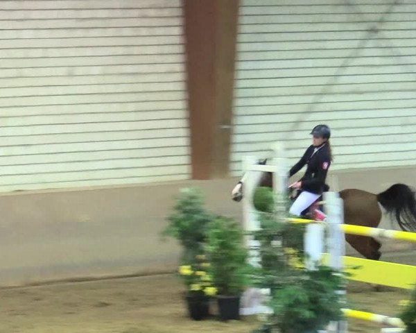 Reitturnier Kamen 2018