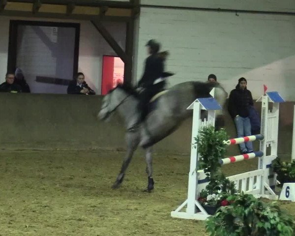 Reitturnier Kamen 2018