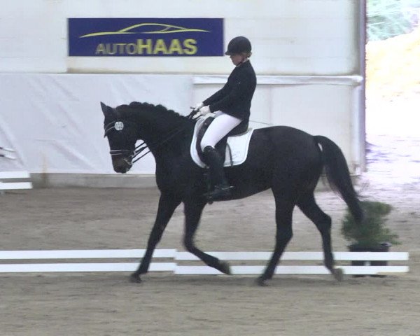 Reitturnier Viernheim 2018