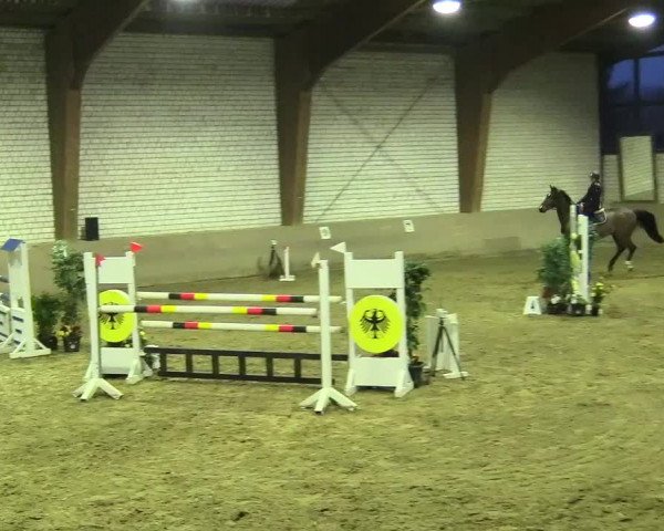 Reitturnier Kamen 2018