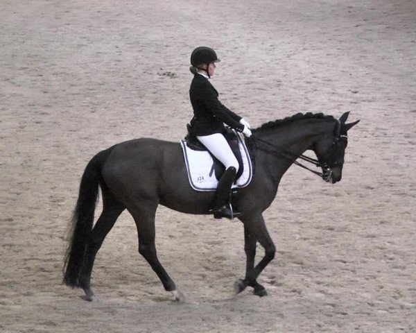 Reitturnier Viernheim 2018