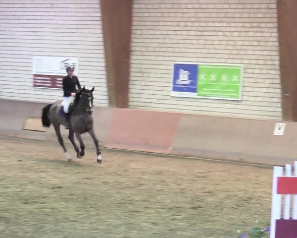 Reitturnier Kamen 2018