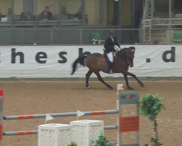 FEI Reitturnier Kreuth (GER) 2018