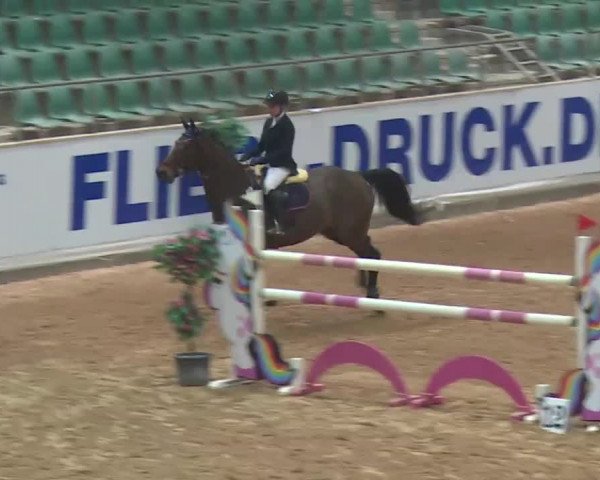 FEI Reitturnier Kreuth (GER) 2018
