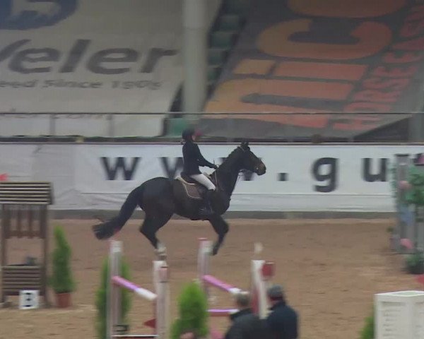 FEI Reitturnier Kreuth (GER) 2018