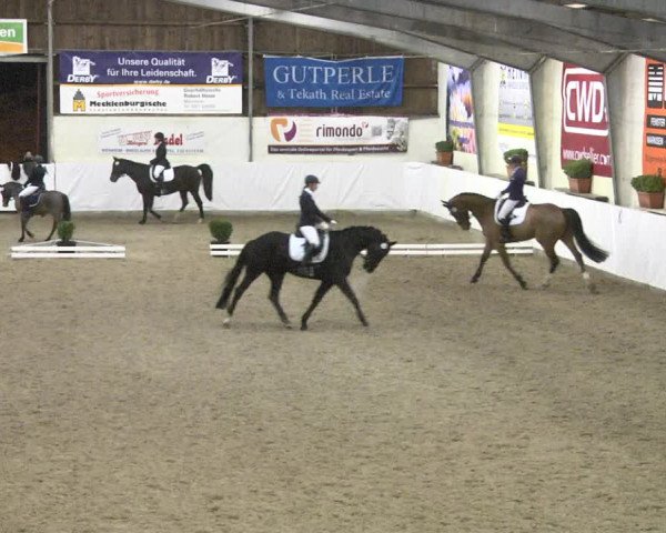 Reitturnier Viernheim 2018