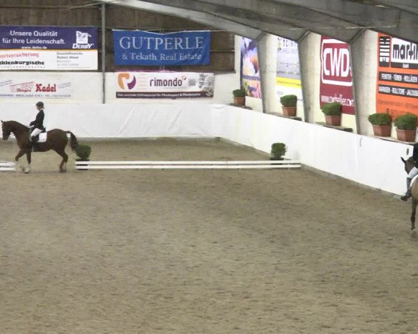 Reitturnier Viernheim 2018