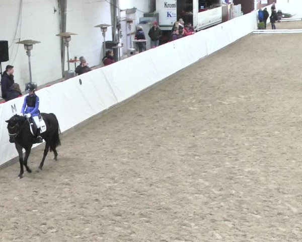 Reitturnier Viernheim 2018