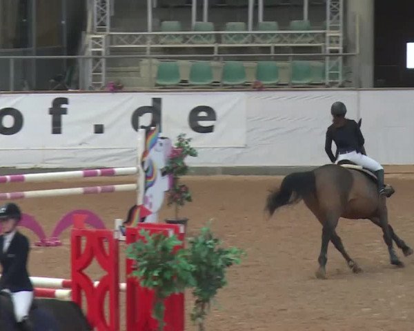 FEI Reitturnier Kreuth (GER) 2018
