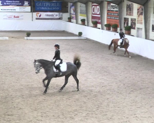 Reitturnier Viernheim 2018