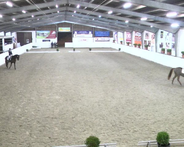 Reitturnier Viernheim 2018