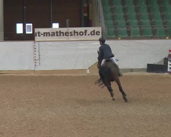 FEI Reitturnier Kreuth (GER) 2018