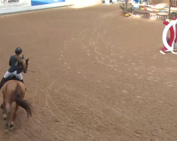 FEI Reitturnier Kreuth (GER) 2018