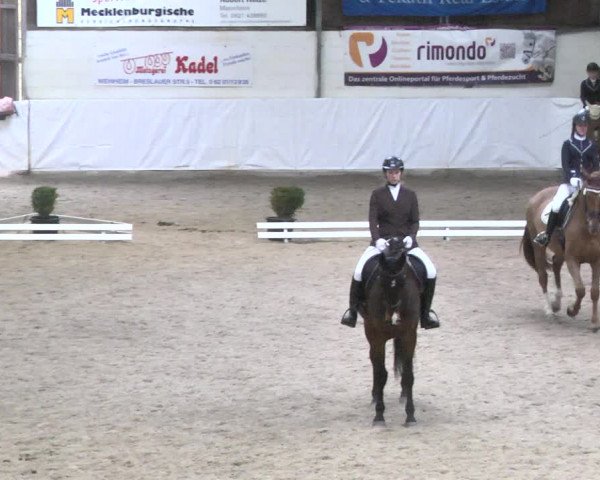 Reitturnier Viernheim 2018