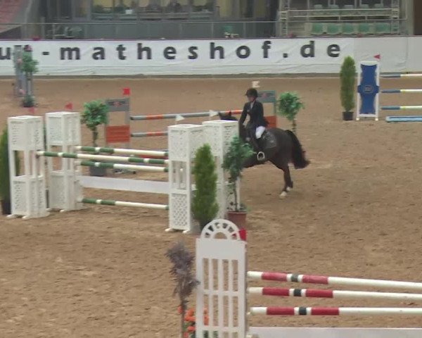 FEI Reitturnier Kreuth (GER) 2018