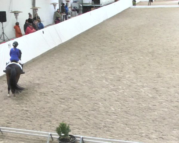 Reitturnier Viernheim 2018
