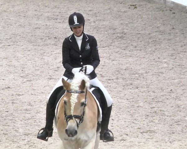 Reitturnier Viernheim 2018