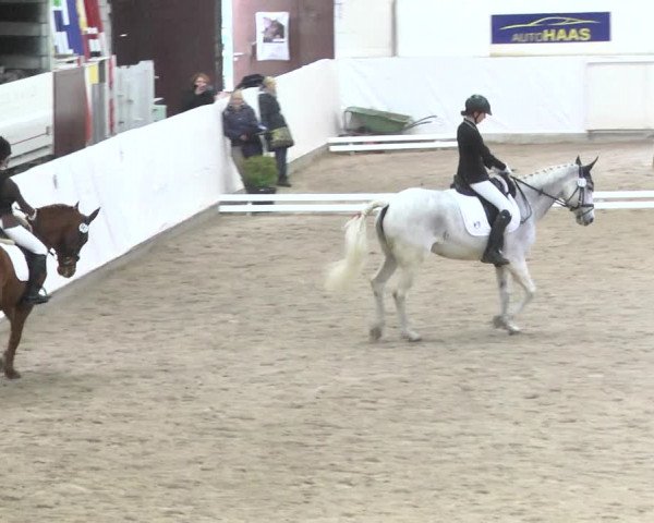 Reitturnier Viernheim 2018