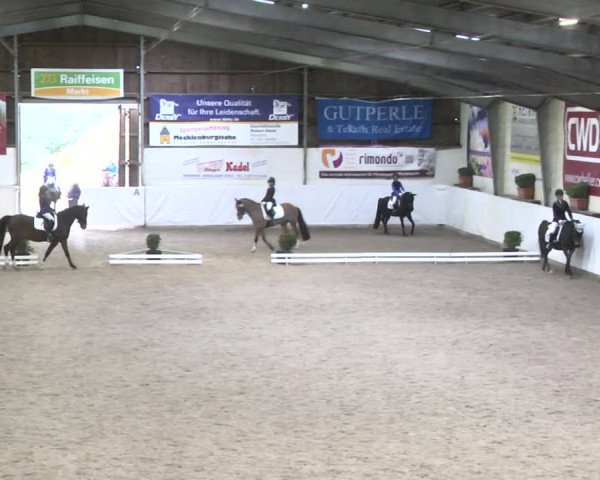 Reitturnier Viernheim 2018