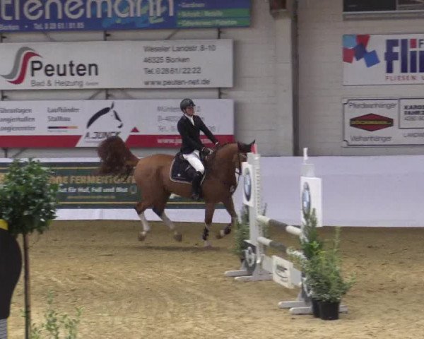 Reitturnier Borken 2018