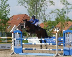 jumper Clio 26 (Hanoverian, 2002, from Calido I)