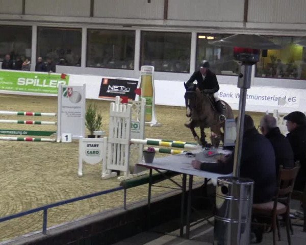 Reitturnier Borken 2018