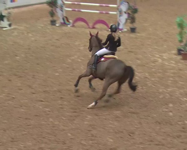 FEI Reitturnier Kreuth (GER) 2018