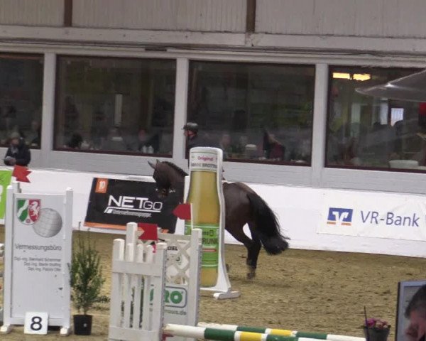 Reitturnier Borken 2018