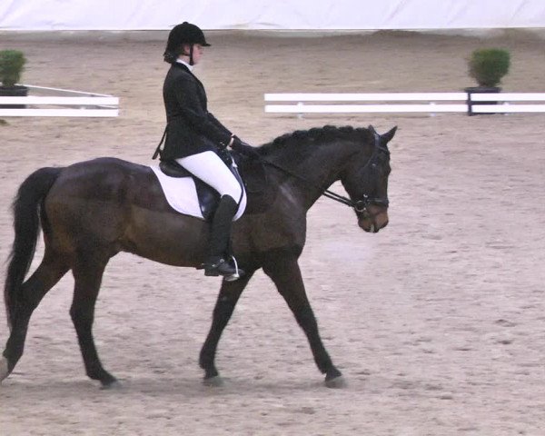 Reitturnier Viernheim 2018