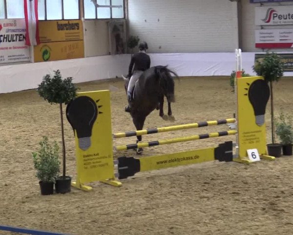 Reitturnier Borken 2018