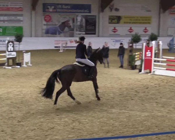 Reitturnier Borken 2018
