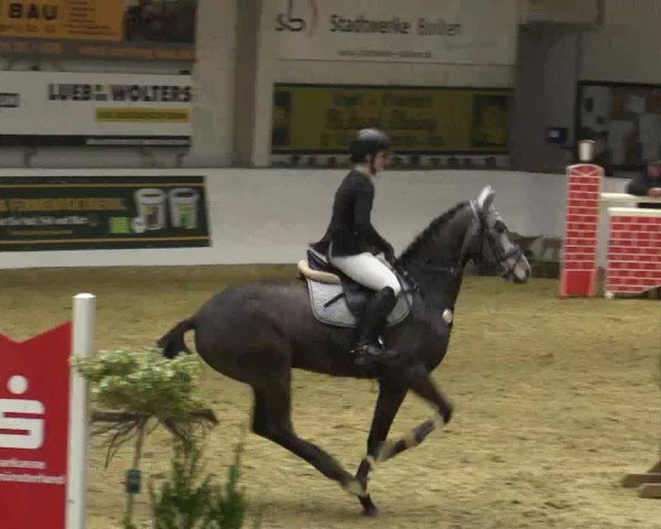 Reitturnier Borken 2018