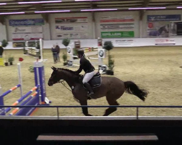 Reitturnier Borken 2018