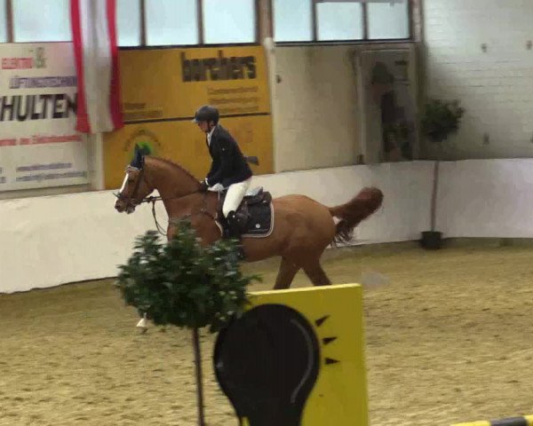 Reitturnier Borken 2018