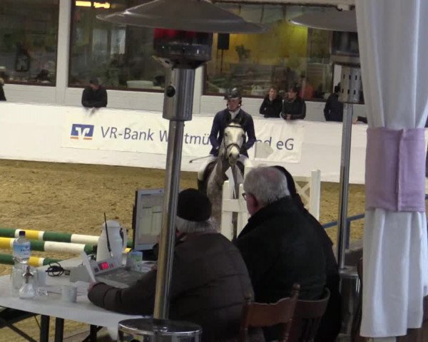 Reitturnier Borken 2018