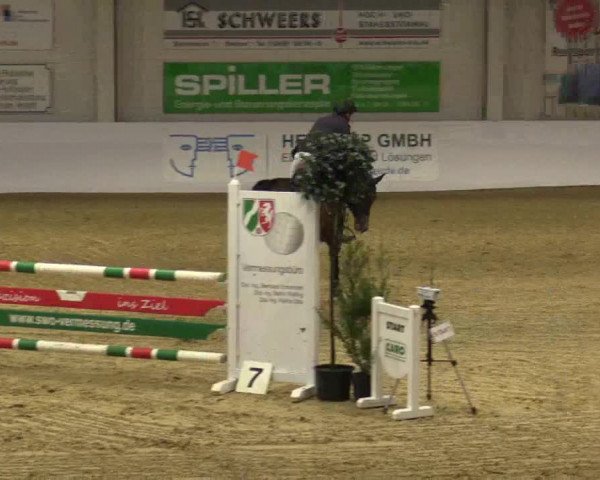 Reitturnier Borken 2018