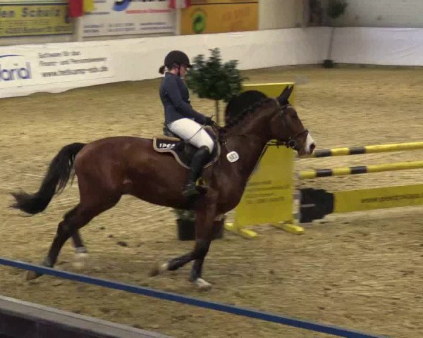 Reitturnier Borken 2018