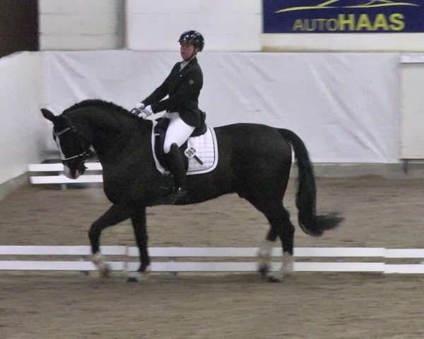 Reitturnier Viernheim 2018