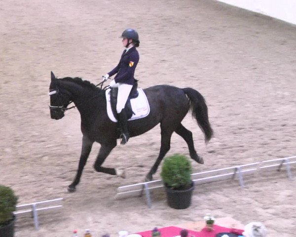 Reitturnier Viernheim 2018