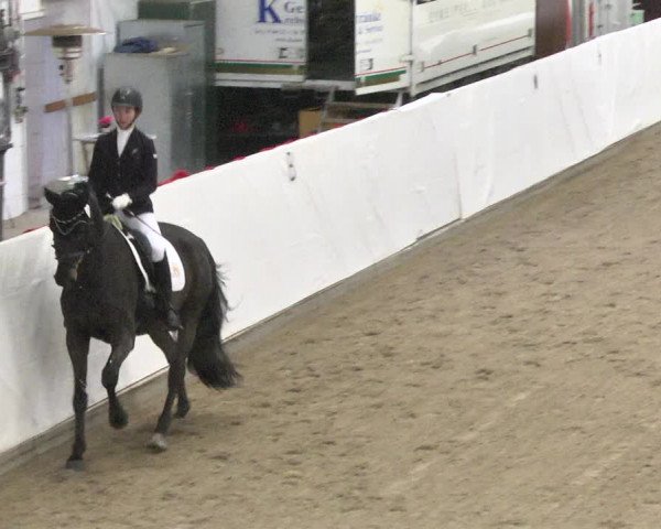 Reitturnier Viernheim 2018