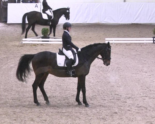 Reitturnier Viernheim 2018