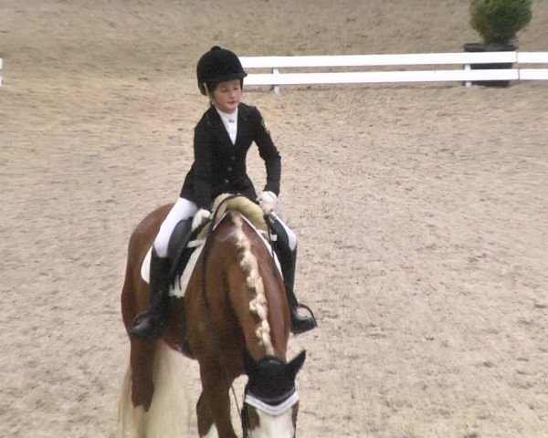 Reitturnier Viernheim 2018