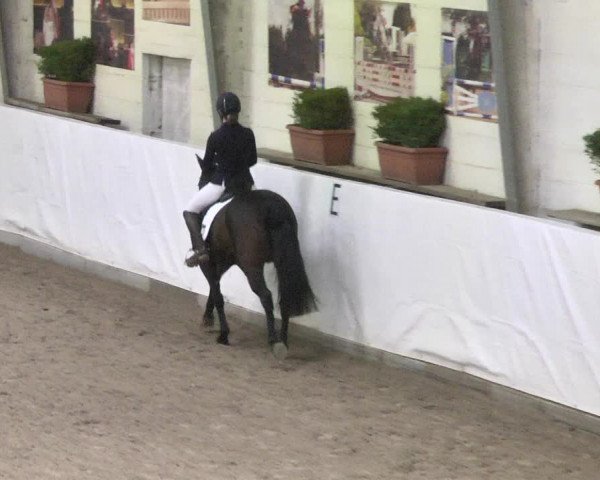 Reitturnier Viernheim 2018