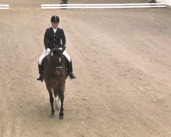 Reitturnier Viernheim 2018